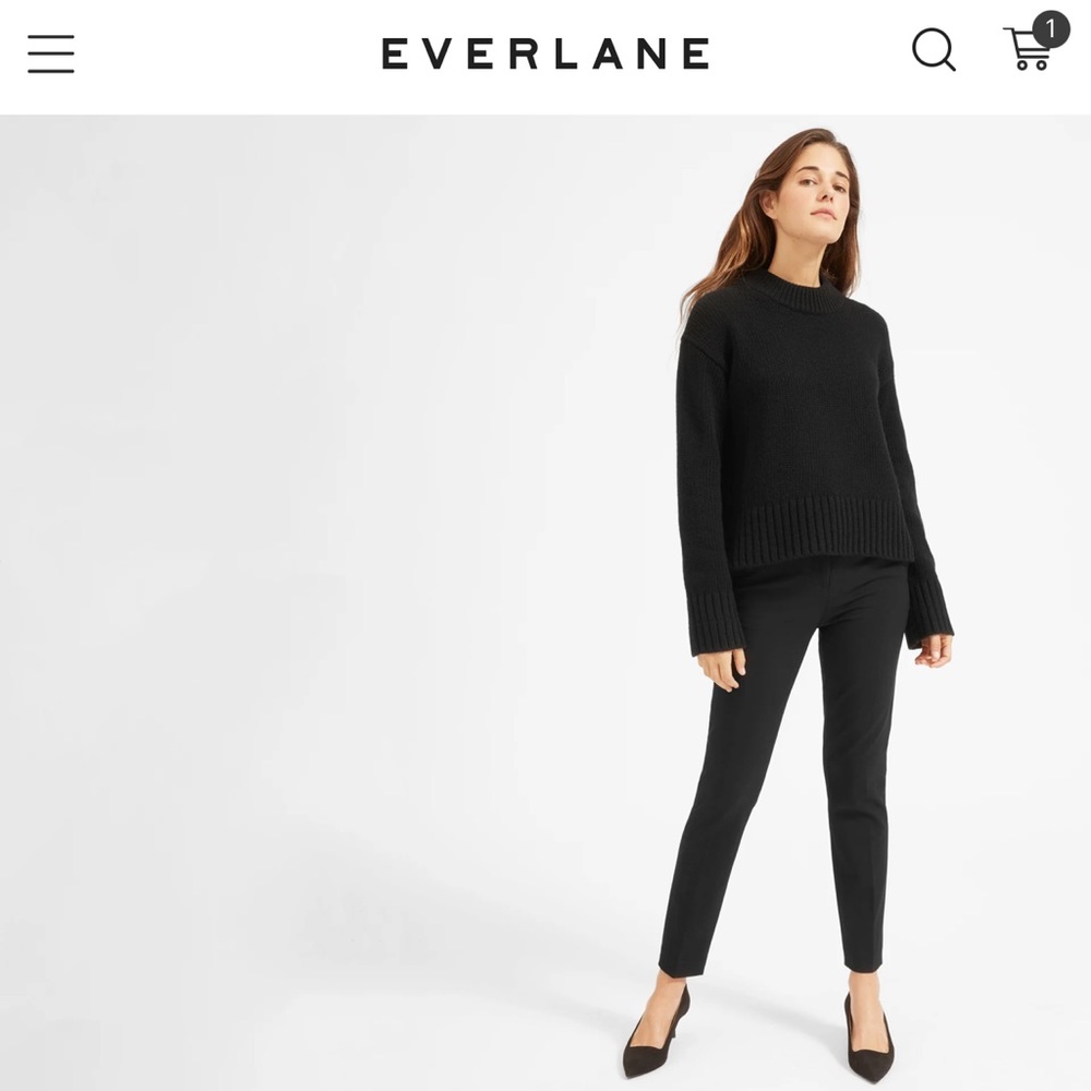 Everlane The Slim Wool Pant